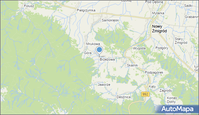 mapa Brzezowa, Brzezowa gmina Nowy Żmigród na mapie Targeo